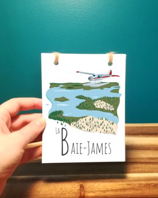 Mailys ORY - Graphiste | Illustration - Carnet - La Baie-James
