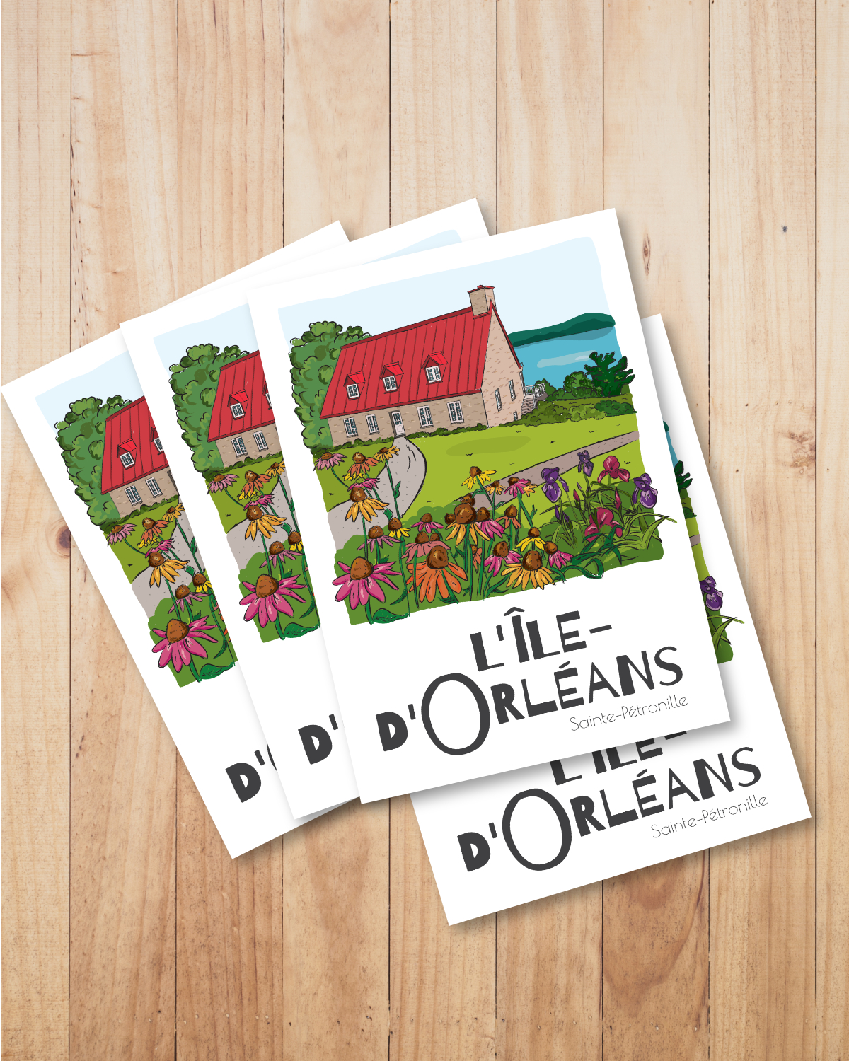 Mailys ORY | Carte postale - L'Île d'Orléans